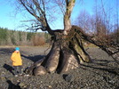 photo thumbnail #3