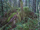 photo thumbnail #7