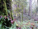 photo thumbnail #8