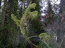 photo thumbnail #10