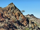 photo thumbnail #3