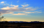 photo thumbnail #10