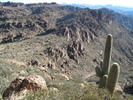 photo thumbnail #6
