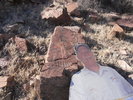 photo thumbnail #6