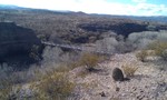 photo thumbnail #7