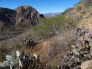 photo thumbnail #4