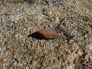 photo thumbnail #12