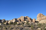 photo thumbnail #15