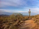 photo thumbnail #2