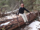 photo thumbnail #2