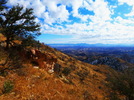 photo thumbnail #2