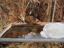 photo thumbnail #7