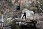 photo thumbnail #4
