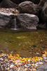 photo thumbnail #13