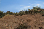 photo thumbnail #4