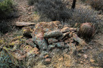 photo thumbnail #13