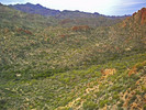 photo thumbnail #10