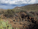 photo thumbnail #10