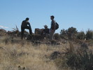 photo thumbnail #15