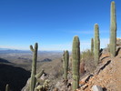 photo thumbnail #1