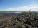 photo thumbnail #5