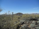 photo thumbnail #9
