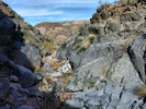photo thumbnail #8