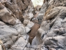 photo thumbnail #14