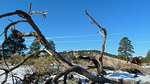 photo thumbnail #4