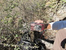 photo thumbnail #6