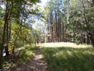 photo thumbnail #4