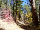photo thumbnail #7