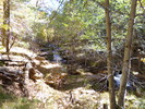 photo thumbnail #10
