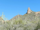 photo thumbnail #5