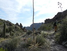 photo thumbnail #2