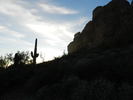 photo thumbnail #9