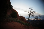 photo thumbnail #4