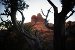photo thumbnail #7