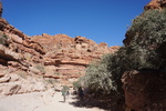 photo thumbnail #6