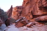 photo thumbnail #7