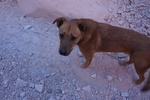 photo thumbnail #8
