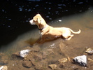 photo thumbnail #8