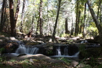 photo thumbnail #6