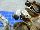 photo thumbnail #4