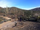 photo thumbnail #5