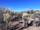 photo thumbnail #3