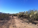 photo thumbnail #2