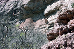 photo thumbnail #13