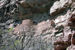 photo thumbnail #14