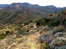 photo thumbnail #9